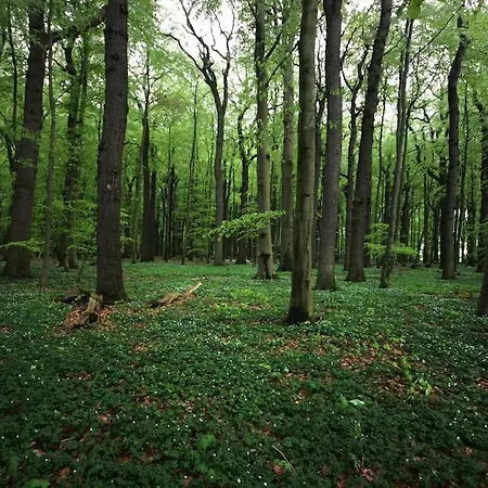 Apartamento Loi Black